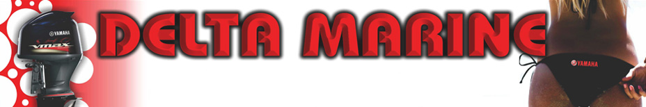 Delta Marine Banner